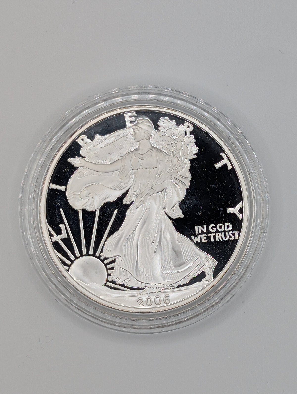 2006-W American Silver Eagle (OGP)