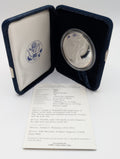 2005-W American Silver Eagle (OGP)
