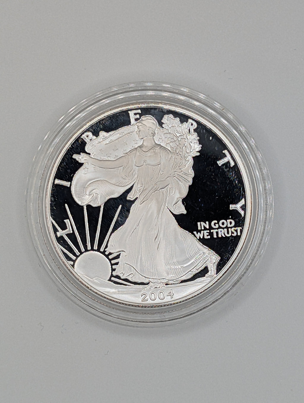 2004-W American Silver Eagle (OGP)