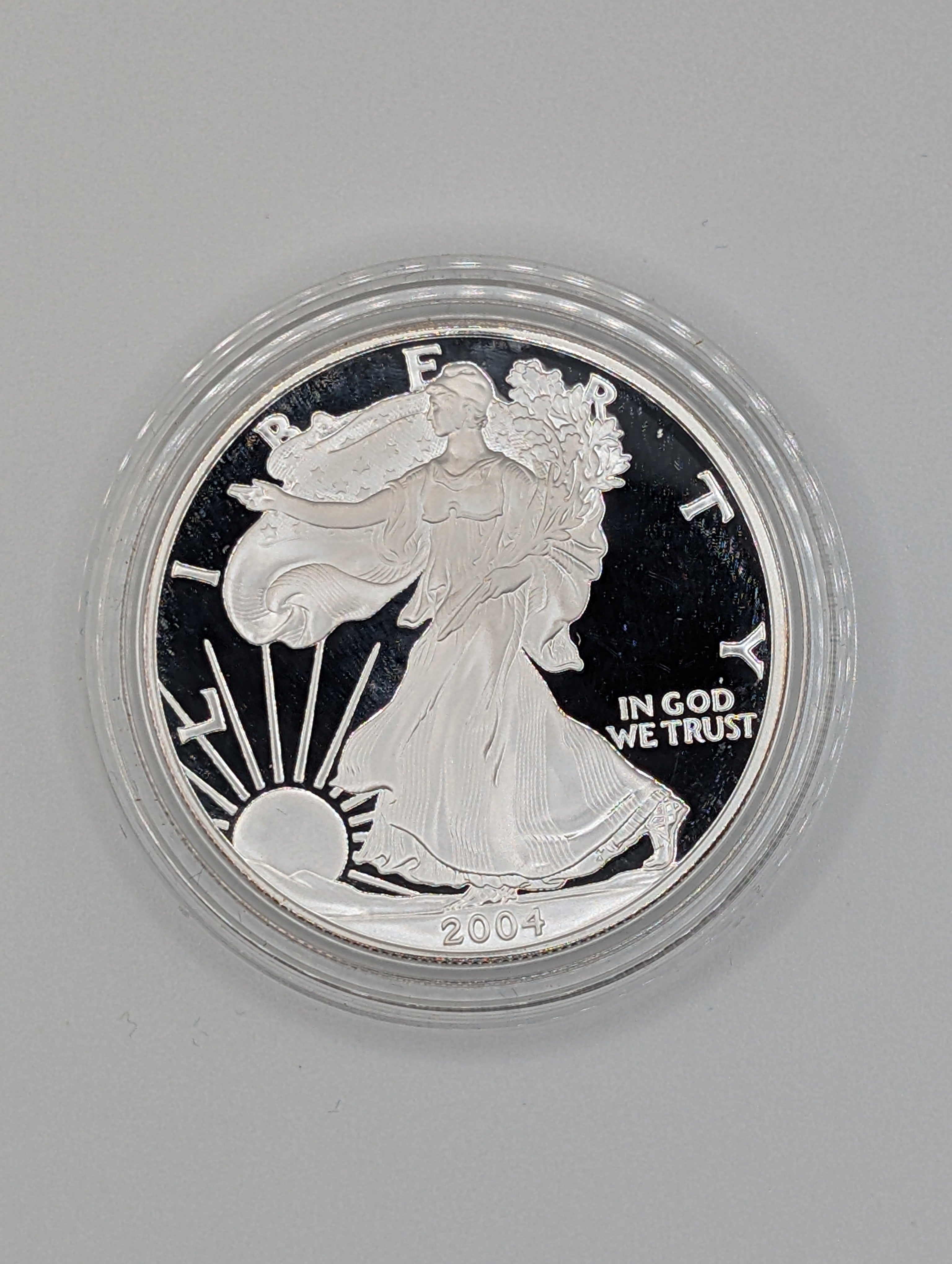 2004-W American Silver Eagle (OGP)